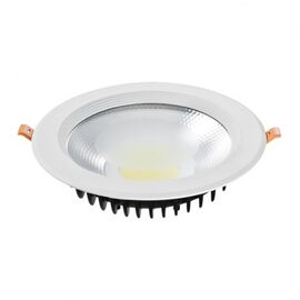 Led Panel 30W Cold